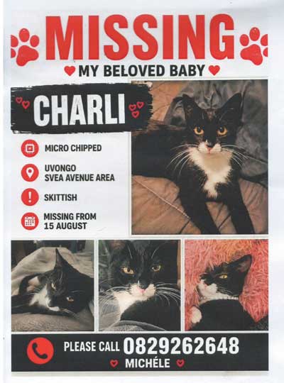 Charli.missing